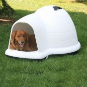 The Igloo Dog House, A Very Popular Year-round Shelter For Your Dog!