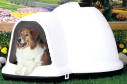 The Igloo Dog House, Insulated Year-Round Shelter For Your Dog!