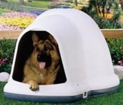 The Igloo Dog House, Insulated Year-Round Shelter For Your Dog!