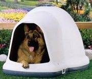 The Igloo Dog House, Insulated Year-round Shelter For Your Dog!