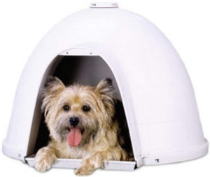 what size igloo dog house do i need