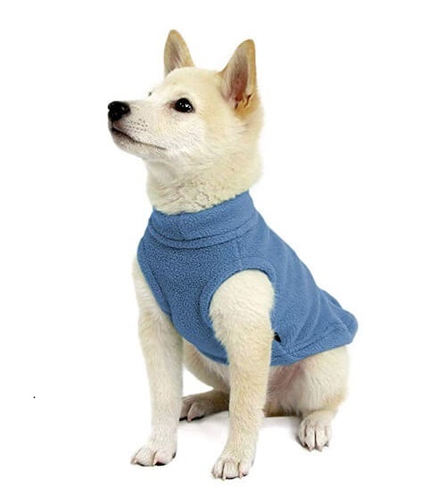 Pet Clothes For Protection When The Weather Outside is Frightful!