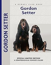 Gordon Setter guide book for pet owners