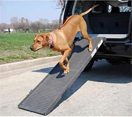 tailgate ramp for dogs