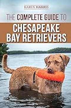 Chesapeake Retriever guide book